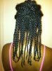 july 2 twists on braids and twists on blown out hair.jpg