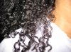 curls 1.jpg
